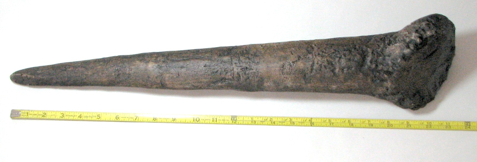 stegosaurus spike tail